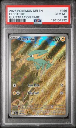 2025 Pokemon Dri EN-Destined Rivals Electrike #196 Illustration Rare PSA 10 - Image 1