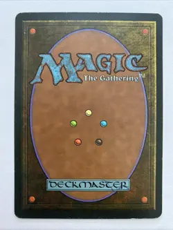 1x Koskun Falls Homelands MTG Magic the Gathering LP - Image 2