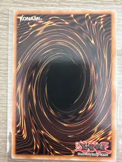 Ragnaraika the Evil Seed - LEDE-EN013 - Near Mint NM - Secret Rare - 1st Edition - Image 4