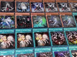 40 Card Azamina White Forest Deck Plus 15 Card Extra Deck Yu-Gi-Oh! TCG 🔥 - Image 3