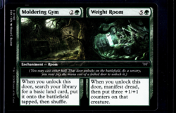 2024 MTG Magic The Gathering DSK Duskmourn #190 Moldering Gym Weight Room - Image 1