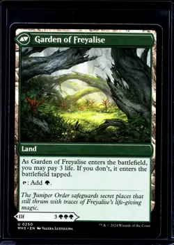 2024 MTG Magic The Gathering MH3 Modern Horizons 3 #250 Disciple of Freyalise - Image 2