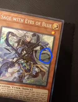 Sage with Eyes of Blue BLLR-EN055 1st Ed. Light Play - Image 2