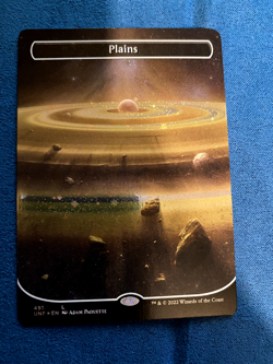 Plains (491) (Borderless) (Galaxy Foil) Unfinity Foil - Near Mint - Image 1