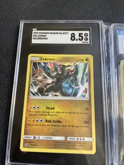 Graded Pokemon Cards Kyogre Shining Fates, Zekrom Dragon Majesty, JP Doduo Shiny - Image 3