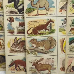 Vintage 1970s Full Color Drawings Animal Lotto Lottery Card Game Instructions - Image 2