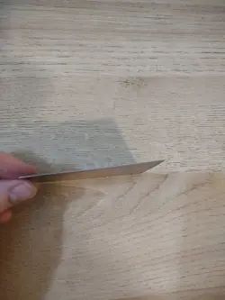 MTG Renewing Touch MP Portal Second Age - Image 3