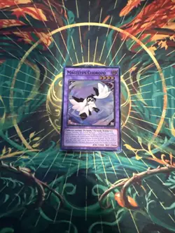 Yu-Gi-Oh! Magistus Chorozo SUDA-EN100 Super Rare 1st Edition NM - Image 1