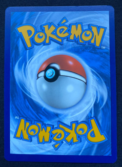 Pokemon Card Druddigon TG09/TG30 Trainer Gallery Silver Tempest NM - Image 2