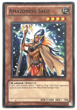 YuGiOh! - Amazoness Sage - DREV-EN030 - Unlimited - Common - Image 1
