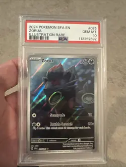 Pokemon TCG Shrouded Fable Zorua Card 75/64 Illustration Rare PSA 10 Gem Mint - Image 1
