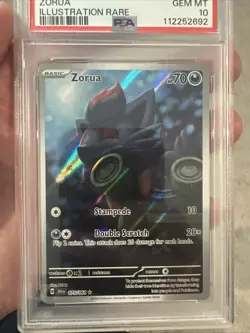 Pokemon TCG Shrouded Fable Zorua Card 75/64 Illustration Rare PSA 10 Gem Mint - Image 4
