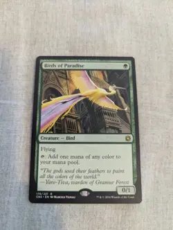 Birds of Paradise - Conspiracy: Take the Crown NM English - Image 1