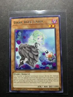 Yugioh - Dark Rose Fairy (Rare) (1st Edition) - LED4-EN024 (P) - Image 1