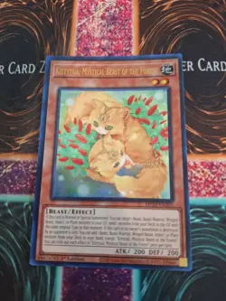 Yugioh Kittytail, Mystical Beast of the Forest MP24-EN205 Ultra 1st Edition NM - Image 1