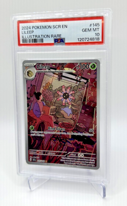 PSA 10 Lileep #145/142 Illustration Rare 2024 Pokemon Stellar Crown GEM MINT - Image 1
