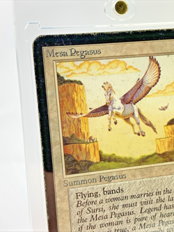 VINTAGE ALPHA - Mesa Pegasus - MTG Magic the Gathering 1993 Card in Holder - Image 2