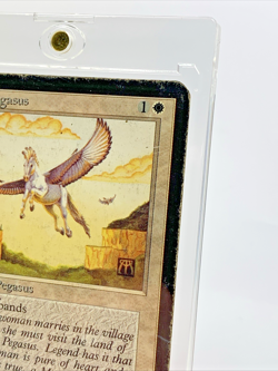 VINTAGE ALPHA - Mesa Pegasus - MTG Magic the Gathering 1993 Card in Holder - Image 5