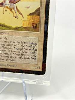 VINTAGE ALPHA - Mesa Pegasus - MTG Magic the Gathering 1993 Card in Holder - Image 4