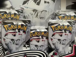 Lot of 5 Pokemon White Flare Binder Collections Scarlet and Violet - Image 4