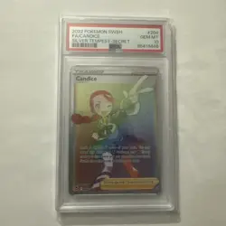 Pokemon 2022 Candice 204/195 Full Art Secret Rare Silver Tempest GEM MINT PSA 10 - Image 1