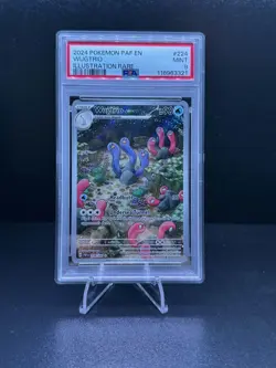 PSA 9 Wugtrio Illustration Rare #224 2024 Pokemon Paf En-Paldean Fates - Image 1