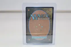 MTG Spider Man - Savage Beating 0026 - Borderless (Foil) - Image 4