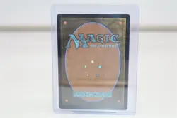 Multiversal Passage (Borderless) 0206 (R) MTG Marvel's Spider-Man ( non foil ) 9 - Image 4