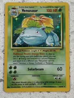 Pokemon Lot - Charizard, Blastoise, Venusaur, Machamp, Ungraded Rare Holographic - Image 4
