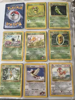 Pokemon collection personal binder #366 cards with a Charizard, Raichu, & more - Image 3