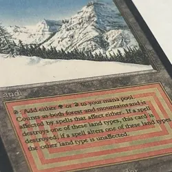 Taiga MTG Revised / 3rd Edition / Black Boarder / See photos for conditions - Image 3