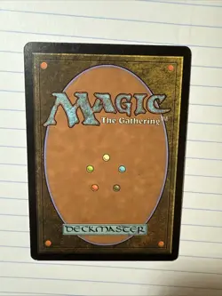 Seedtime Judgment Regular - Image 2