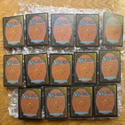 Set Of 14 Fallen Empires Storage Lands | MTG Magic | NM+ Unplayed - Image 2