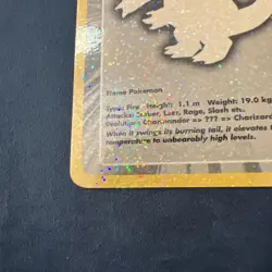 Pokemon Funskool Who Am IU India 2004- Charmeleon RARE! - Image 3