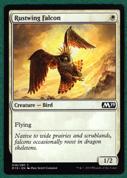 Rustwing Falcon - Core Set 2019 M19 #036 - Magic: The Gathering MTG Card - Image 1