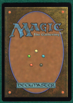 Rustwing Falcon - Core Set 2019 M19 #036 - Magic: The Gathering MTG Card - Image 2