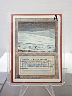 C0729 MTG Revised "Tundra Land (Light Play) (A) (Authentic)" Single & Sleeves - Image 2