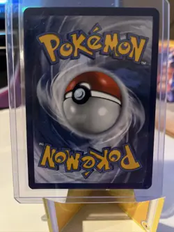 Morpeko SWSH031 Holo 2020 Pokemon TCG Black Star Promo NM SWIRL - Image 5