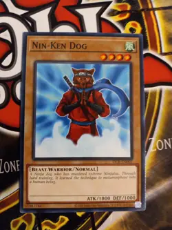 Yugioh 25th Anniversary Nin-Ken Dog DCR-EN002 Common NM - Image 1