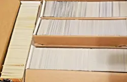 100 Pokemon TCG Card Lot Bulk | Commons Uncommons & Rares | + 5 Rev/holo Cards - Image 1