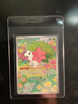 Pokemon TCG Shaymin Holo Card Illustration Rare, 185/182, Destined Rivals Series - Image 1