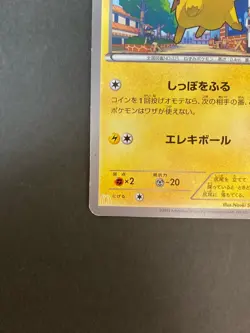 [P238]Pikachu 064/XY-P LP Promo Japanese Pokemon Card from Japan - Image 4