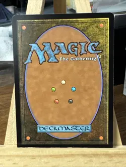 MTG *Infantry Shield Extended Art X1* (NM) Tarkir Dragonstorm Commander Magic - Image 2