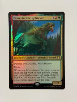 Pako, Arcane Retriever (C20) 13 Foil - Image 1