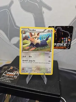 109/146 Herdier Uncommon Card: Pokemon Trading Card Game XY-01 Base Set - Image 1