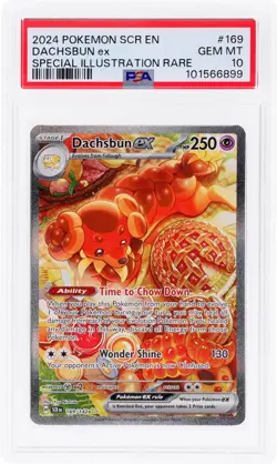 2024 Pokemon Stellar Crown Dachsbun Ex Special Illustration Rare #169/142 PSA 10 - Image 1