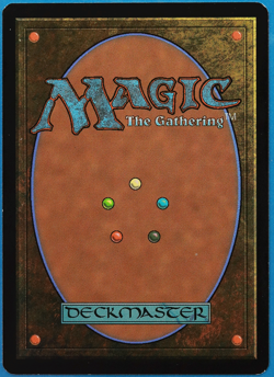 Swamp (295) FOIL Mirrodin NM Basic Land SIGNED MAGIC CARD (ID# 505082) ABUGames - Image 2