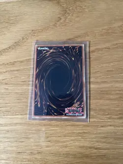 Yu-Gi-Oh! Dark Magician - SDY-E005 - Image 2