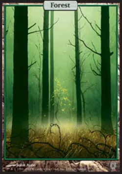 1x Forest Heavy Play MTG Magic - Kid Icarus - - Image 1
