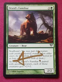 Magic The Gathering AVACYN RESTORED DRUID'S FAMILIAR SIGNED green card MTG - Image 1